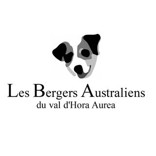 Les Bergers Australiens du val d'Hora Aurea